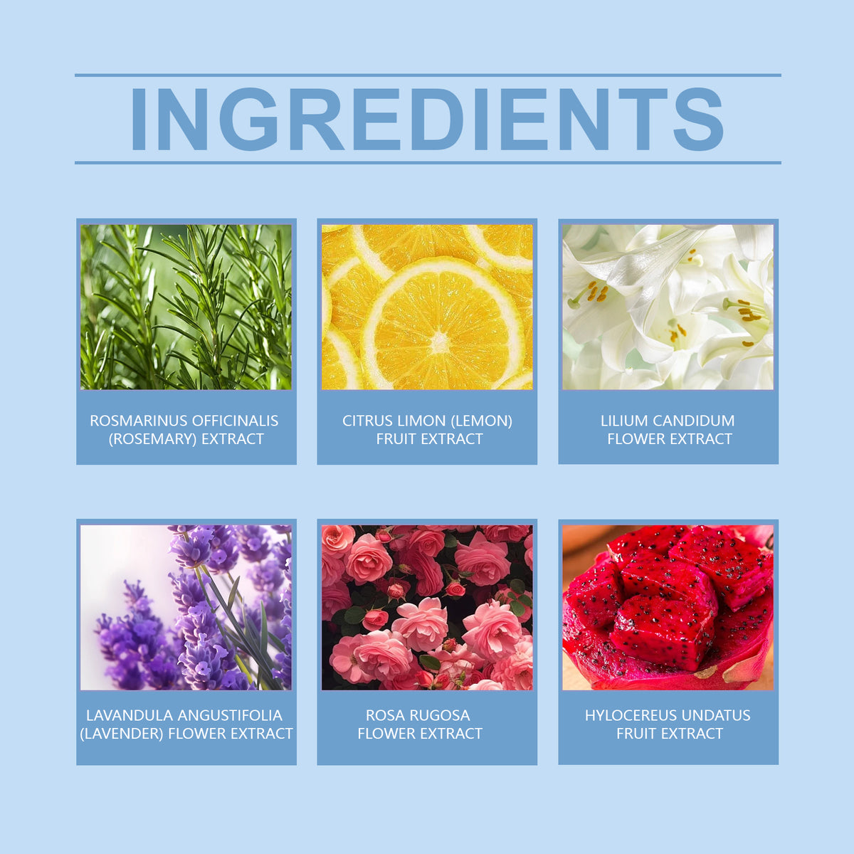 Bubble Shower Ball, Fragrant And Moisturizing Flowers Lasting Fragrance Plant Clean Colorful Skin Shower Ball