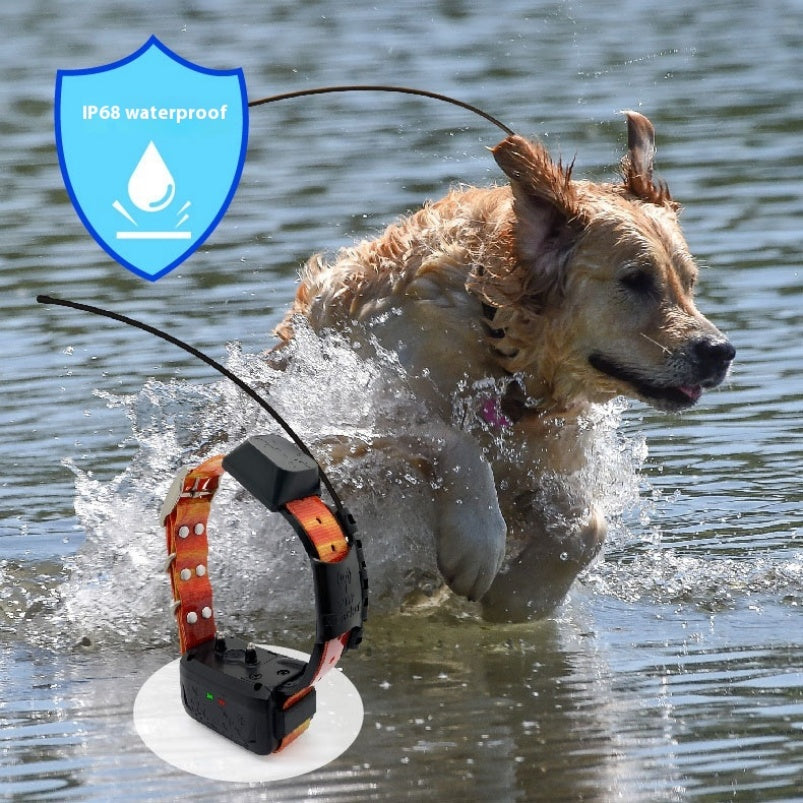 Pet GPS Collar