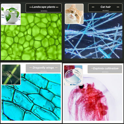 Microscope Biology Lab Toy