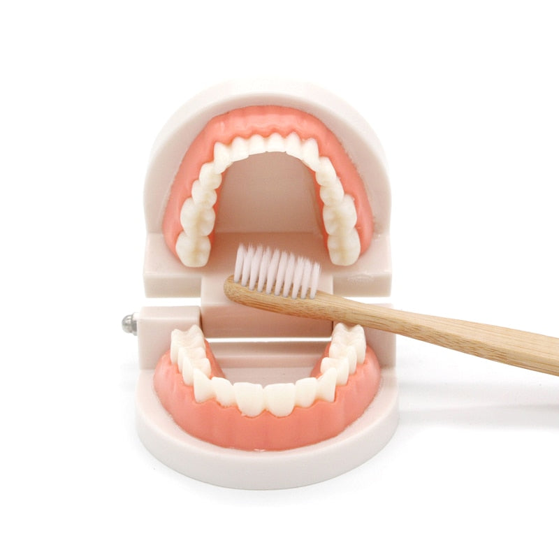 Brushing Tooth Toy