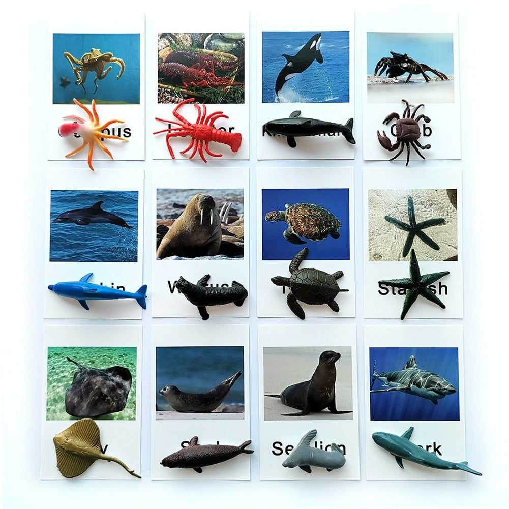 Animals Matching Learning toy