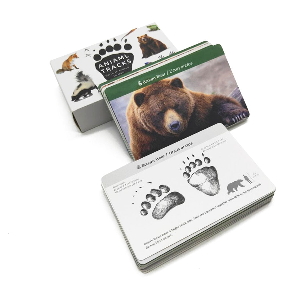 Animals Matching Learning toy