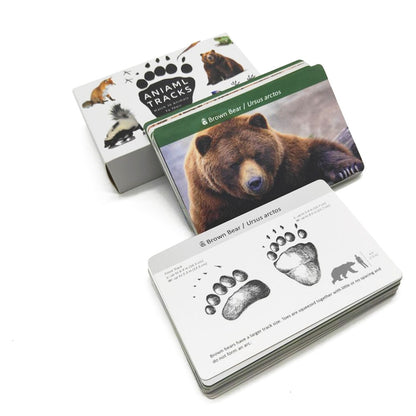 Animals Matching Learning toy