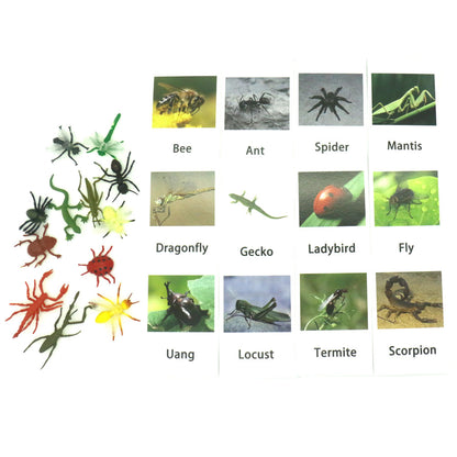 Animals Matching Learning toy