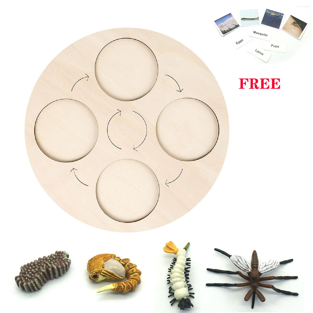 Animals Matching Learning toy