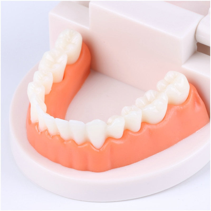 Intelligence Brushing Tooth Teaching toy