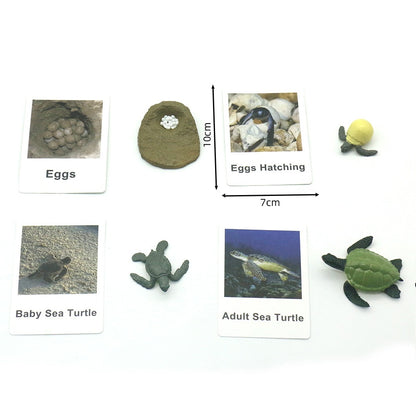 Animals Matching Learning toy