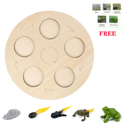 Animals Matching Learning toy