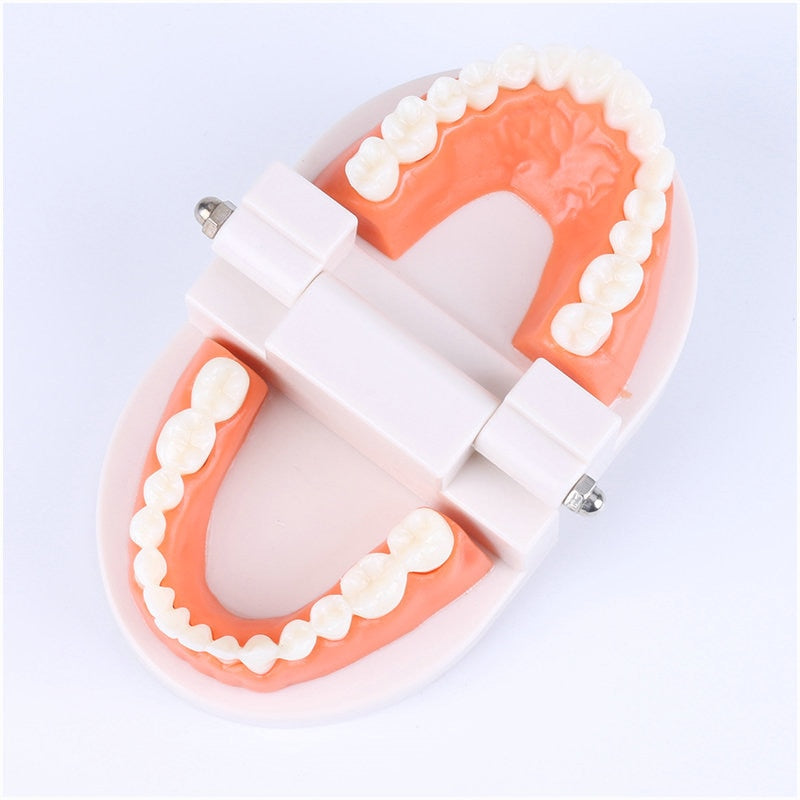 Intelligence Brushing Tooth Teaching toy