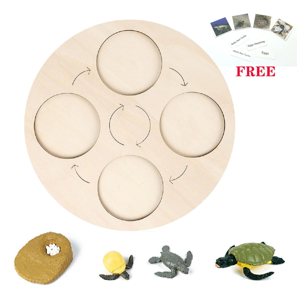 Animals Matching Learning toy