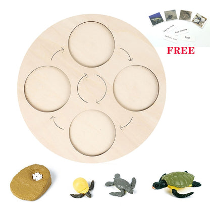 Animals Matching Learning toy