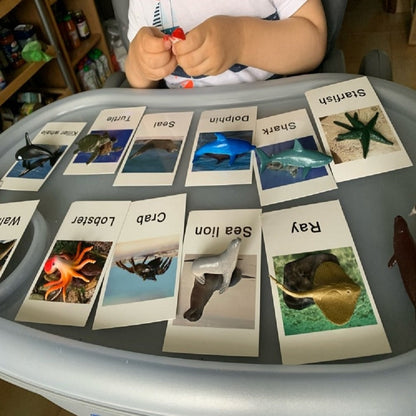 Animals Matching Learning toy