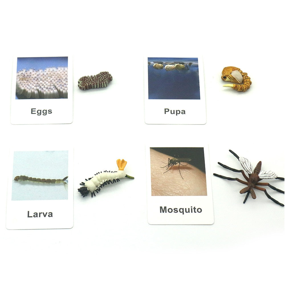 Animals Matching Learning toy