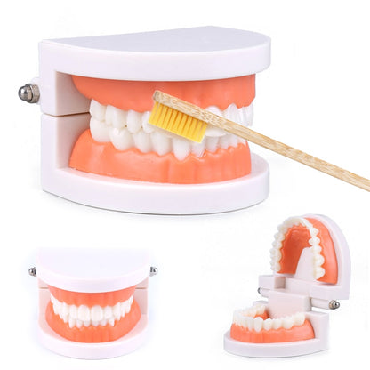 Intelligence Brushing Tooth Teaching toy