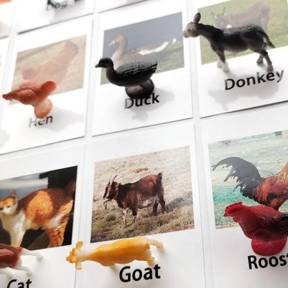Animals Matching Learning toy