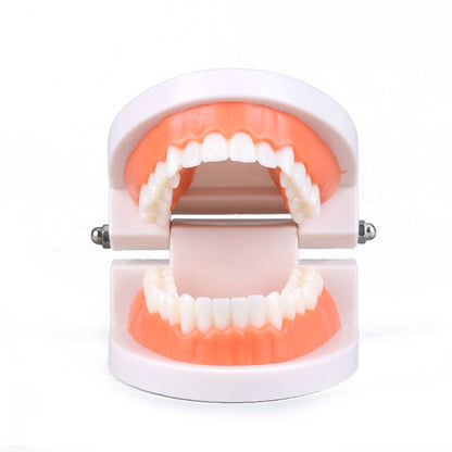 Intelligence Brushing Tooth Teaching toy