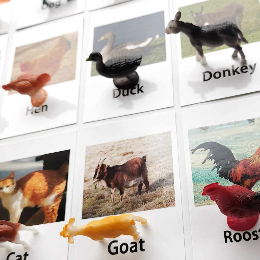 Animals Matching Learning toy