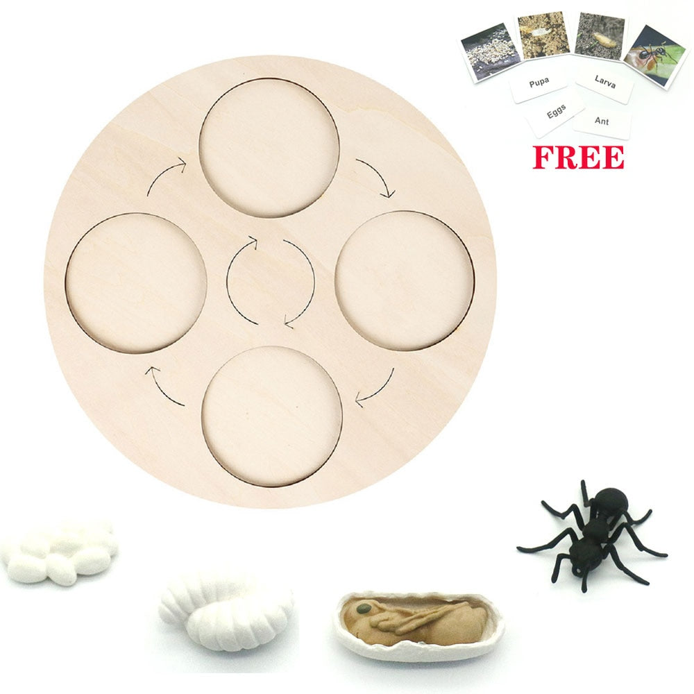 Animals Matching Learning toy